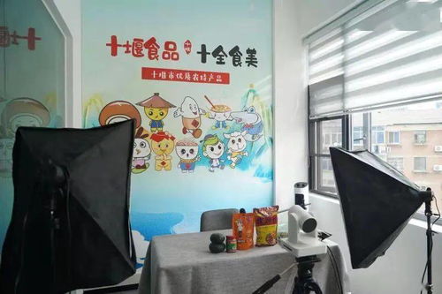 十堰新添文化地標，市民休閑打卡再添好去處