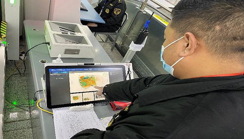 成都地鐵智慧出行新場(chǎng)景 票務(wù)服務(wù)助力科學(xué)防疫與智慧交通建設(shè)